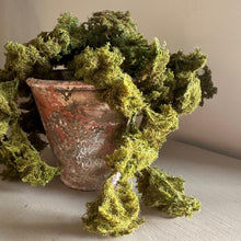 Load image into Gallery viewer, Lifelike Faux Trailing Green Moss for Home Decor Artificial Moss For Plant Topper Fake Moss For Pots Faux Green Decorative Moss Wall Art