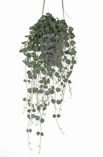 Load image into Gallery viewer, Artificial Trailing String Of Hearts Plant Faux Hanging Succulent Plant For Indoor Shelf Styling Trailing Plant Artificial Greenery