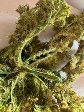 Load image into Gallery viewer, Lifelike Faux Trailing Green Moss for Home Decor Artificial Moss For Plant Topper Fake Moss For Pots Faux Green Decorative Moss Wall Art