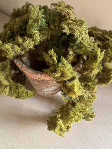 Lifelike Faux Trailing Green Moss for Home Decor Artificial Moss For Plant Topper Fake Moss For Pots Faux Green Decorative Moss Wall Art