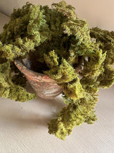 Load image into Gallery viewer, Lifelike Faux Trailing Green Moss for Home Decor Artificial Moss For Plant Topper Fake Moss For Pots Faux Green Decorative Moss Wall Art