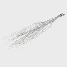 Load image into Gallery viewer, Decorative White Painted Birch Branches Tall Stems for Vase Wedding Centerpiece Décor Dried Twigs for Christmas &amp; White Winter Arrangements