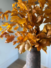 Load image into Gallery viewer, Preserved Copper Beech Autumn Leaves Dried Fall Foliage Bouquet for Fall Decor Wreaths &amp; Vase Arrangements Autumnal Dried Foliage Plants