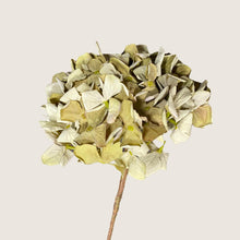 Load image into Gallery viewer, Artificial Hydrangea Dried Look Flowers Vintage Mulberry Faux Hydrangea Burgundy Flower Dried Style Autumn Winter Vase Arrangement