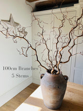 Load image into Gallery viewer, Twisted Hazel Branches Corylus Branches Curly Twigs Corkscrew Natural Stems Christmas Tree Decor Wabi Sabi Dry Twigs For Vase