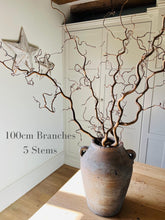 Load image into Gallery viewer, Twisted Hazel Branches Corylus Branches Curly Twigs Corkscrew Natural Stems Autumn Tree Decor Wabi Sabi Dry Twigs For Vase