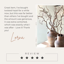 Load image into Gallery viewer, Twisted Hazel Branches Corylus Branches Curly Twigs Corkscrew Natural Stems Christmas Tree Decor Wabi Sabi Dry Twigs For Vase